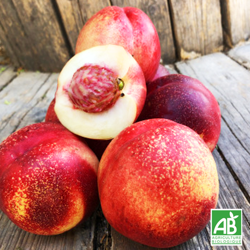 Nectarine (kg) 