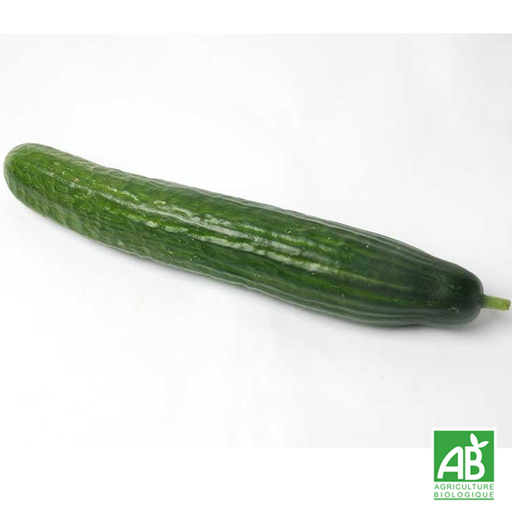Concombre long (pièce)
