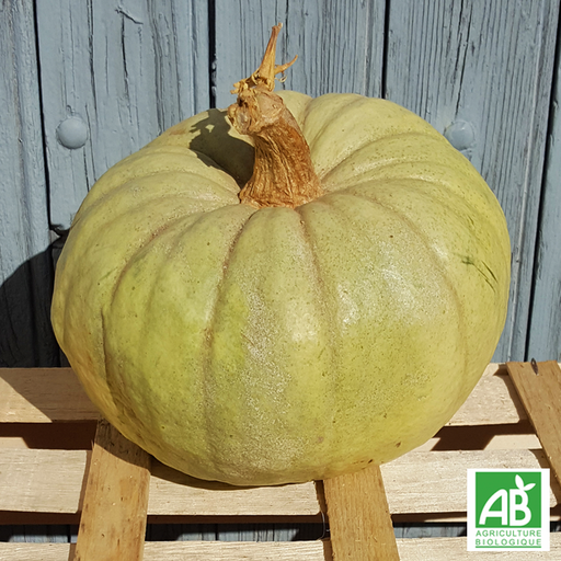 Courge Bleue de Hongrie (pièce)