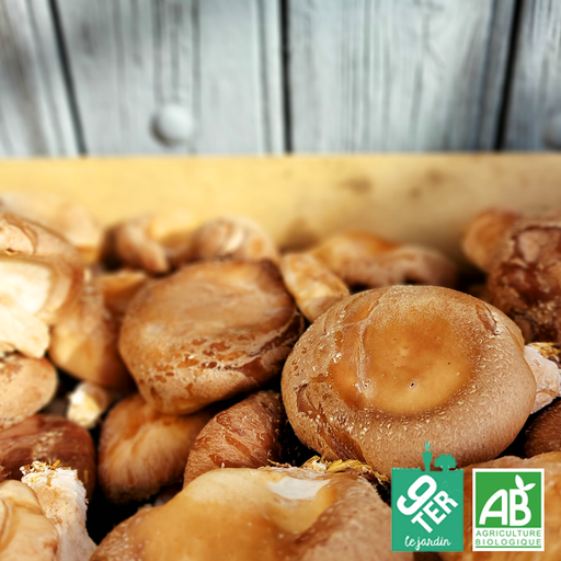 Champignon Shiitake (200gr)