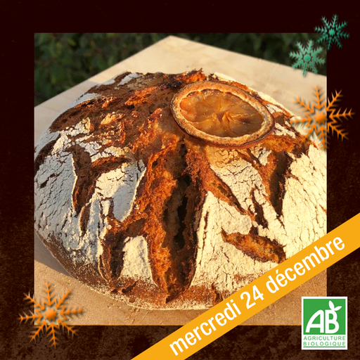 Le Sylvain citron - 24/12