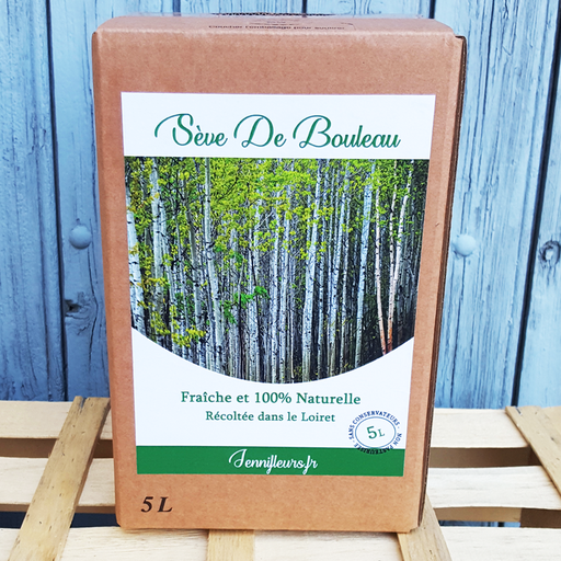 Sève de bouleau fraîche (5L)