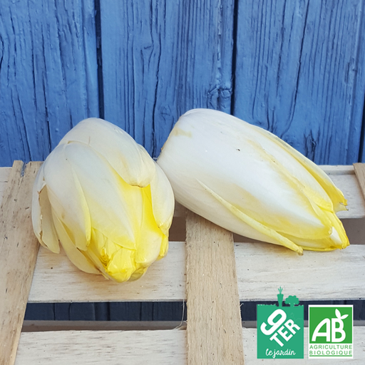 Endive (300g)