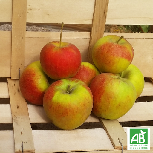 Pomme Braeburn (kg)