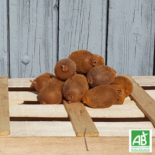 Mini Kiwi (400g)