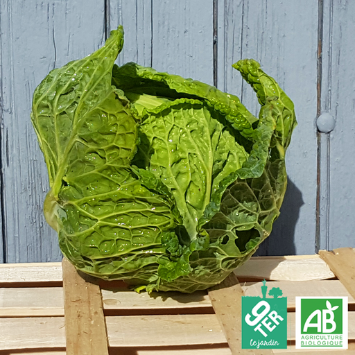 Chou de Milan (pièce)