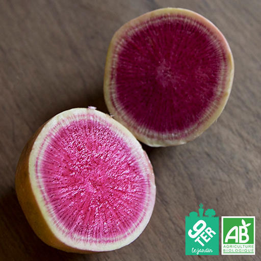 Radis red meat (500g)