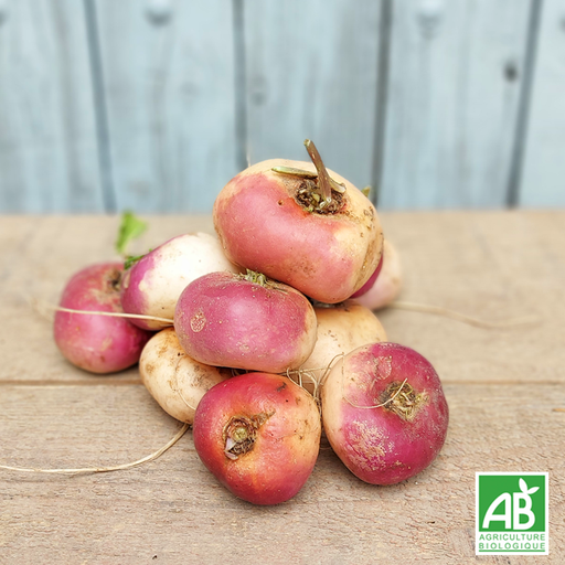 Navet (500g)