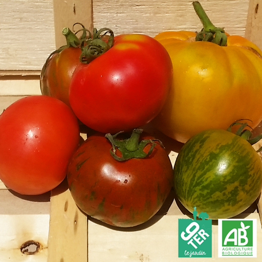 Tomates Variées (kg)