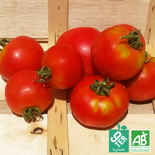 Tomate Rose de Berne (kg)