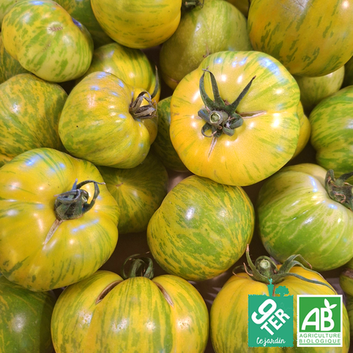 Tomate Green Zebra (kg)