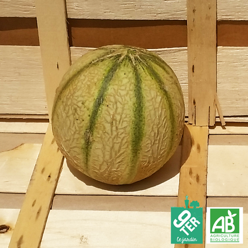Melon (pièce)