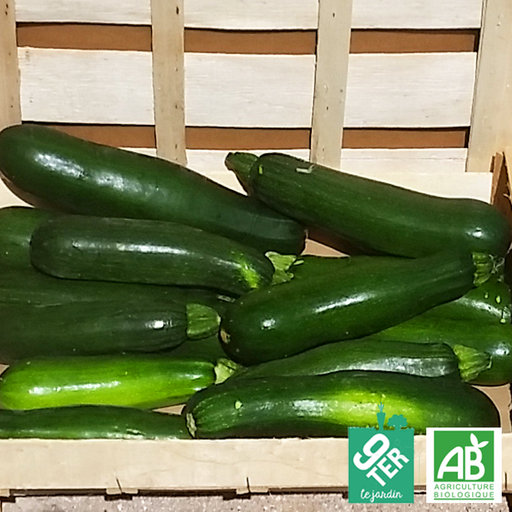Courgette verte (5kg)