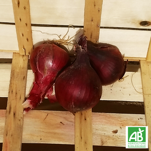 Oignon rouge (400g)