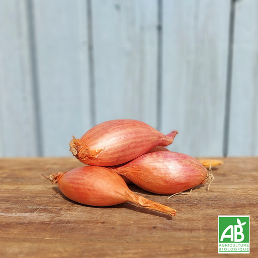 Echalote (200g)
