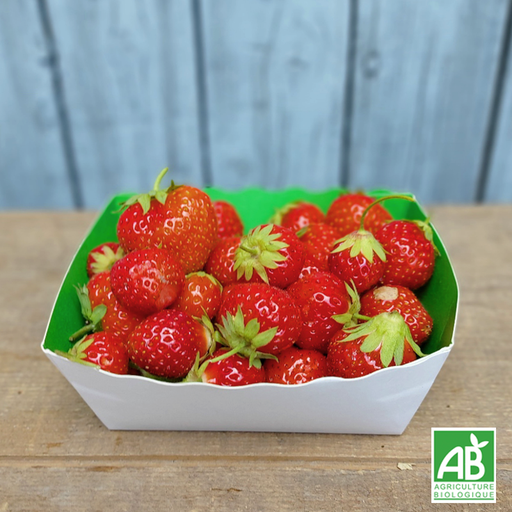 Fraise (barquette 250g)