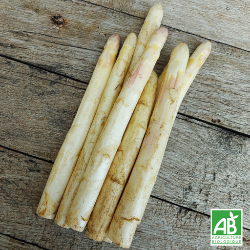 Asperge blanche (500g)