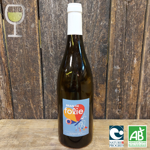 Brain de Folie blanc sauvignon grolleau - Domaine du Mortier