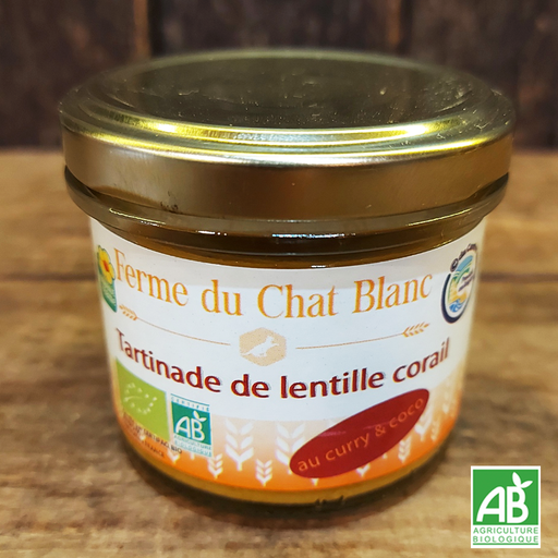 Tartinade lentille corail curry