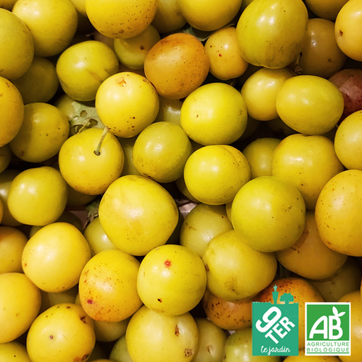 Mirabelle (500g)