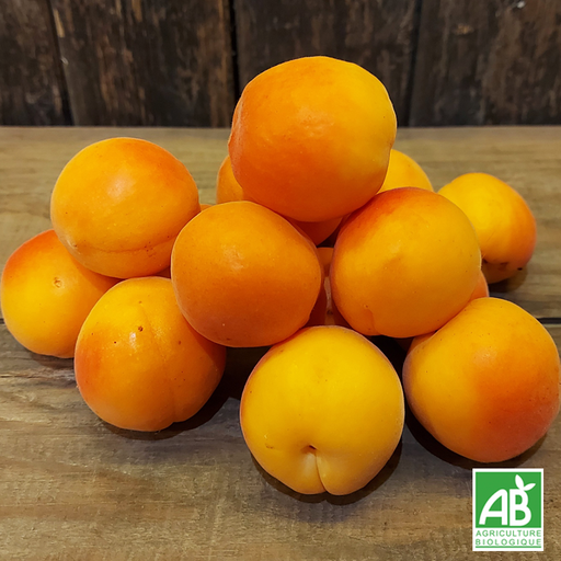 Abricot (500g)