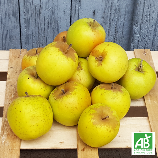 Pomme Lafayette (kg)