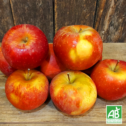 Pomme Dalilight (kg)