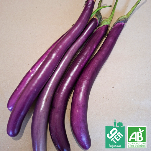 Aubergine japonaise (500g)